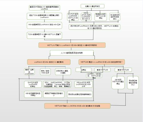 23個(gè)可編輯技術(shù)路線(xiàn)圖模板與繪制技巧: 涵蓋國(guó)自然9大熱點(diǎn)技術(shù)路線(xiàn)及貨物技術(shù)進(jìn)出口業(yè)務(wù)指導(dǎo)