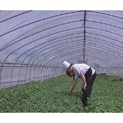宿州號翰農業 深耕農副產品種植，助力鄉村振興新篇章
